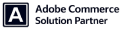 magento development services