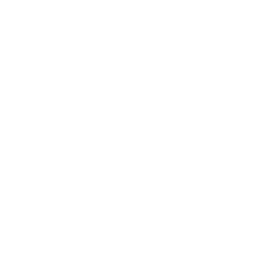ReactJS Development Services
