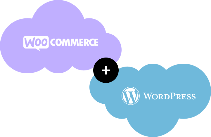 WooCommerce store Development