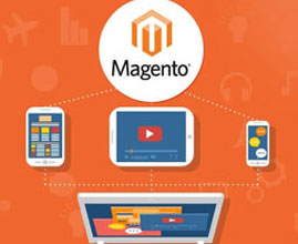 magento-development-services