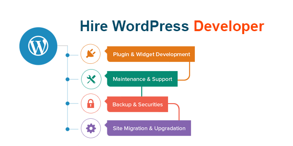 WordPress Developer